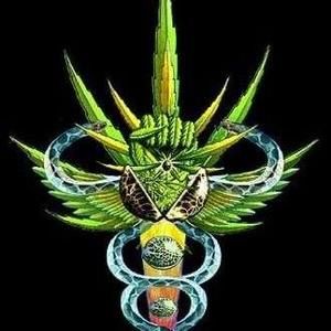 Meet your Posher, Chad